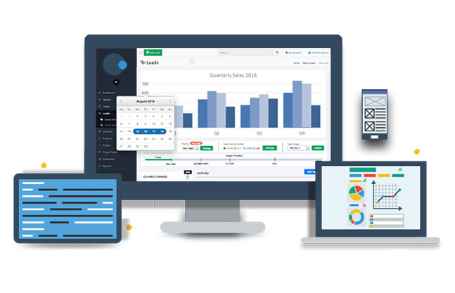 web application development for business management